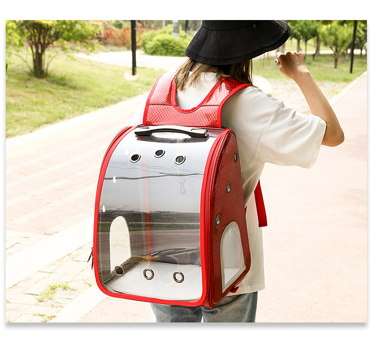 Portable pet trolley bag